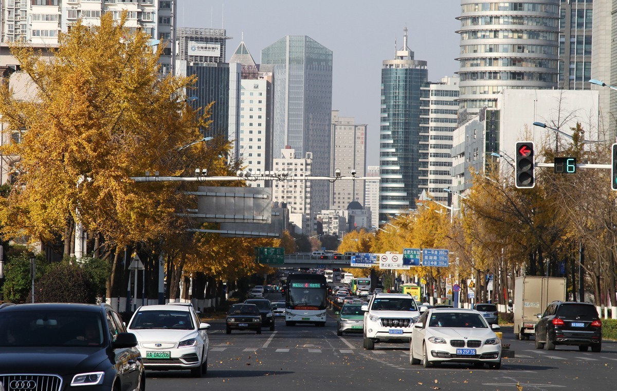 酷暑盼秋凉之合肥徽州大道的银杏