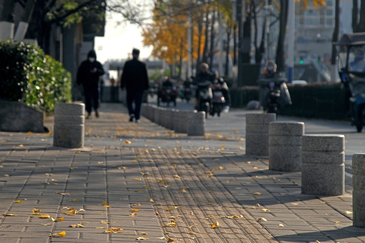 酷暑盼秋凉之合肥徽州大道的银杏