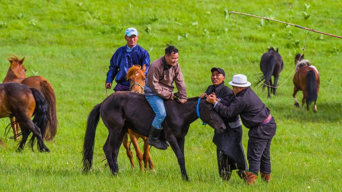 21.6 夏日的草原（十九）------硬汉骑生马