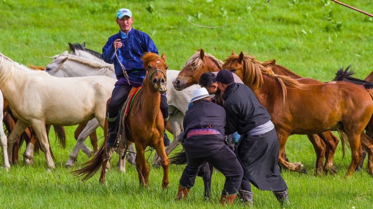 21.6 夏日的草原（十九）------硬汉骑生马