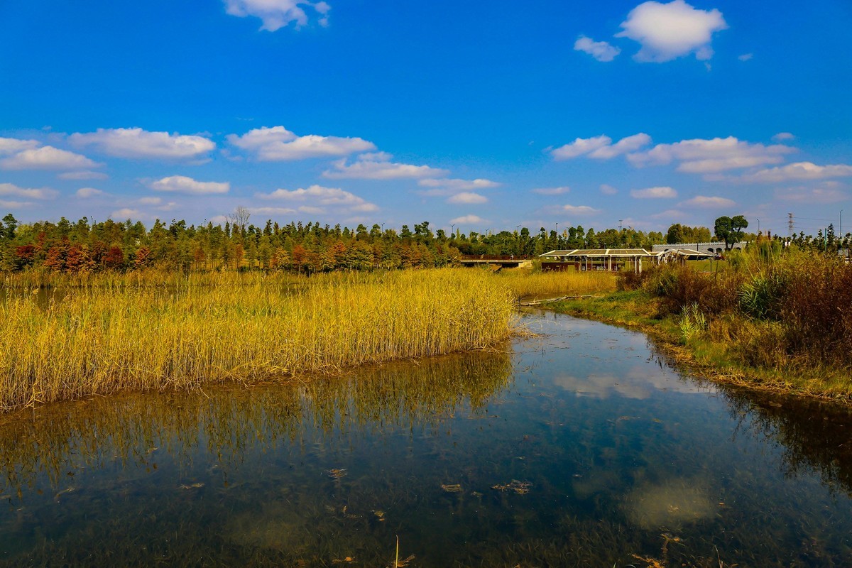 松雅湖溼地公園9