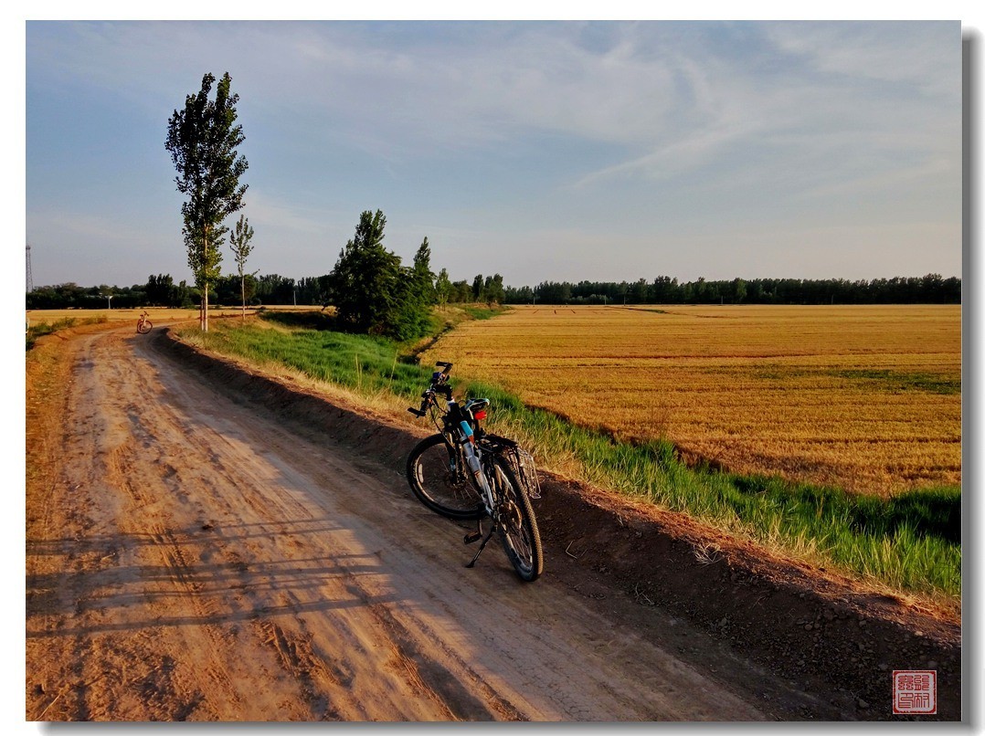 手机随手拍风光（5）