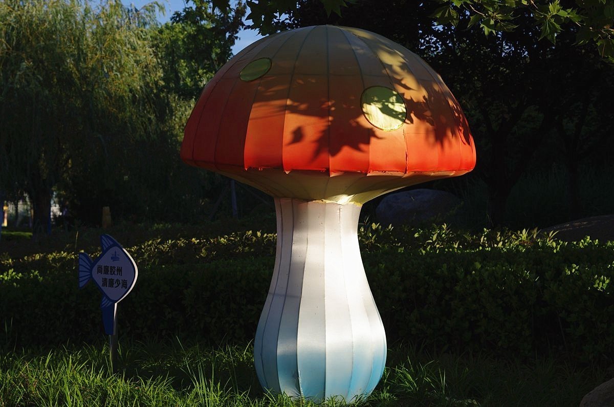 2023夏至的傍晚-15P