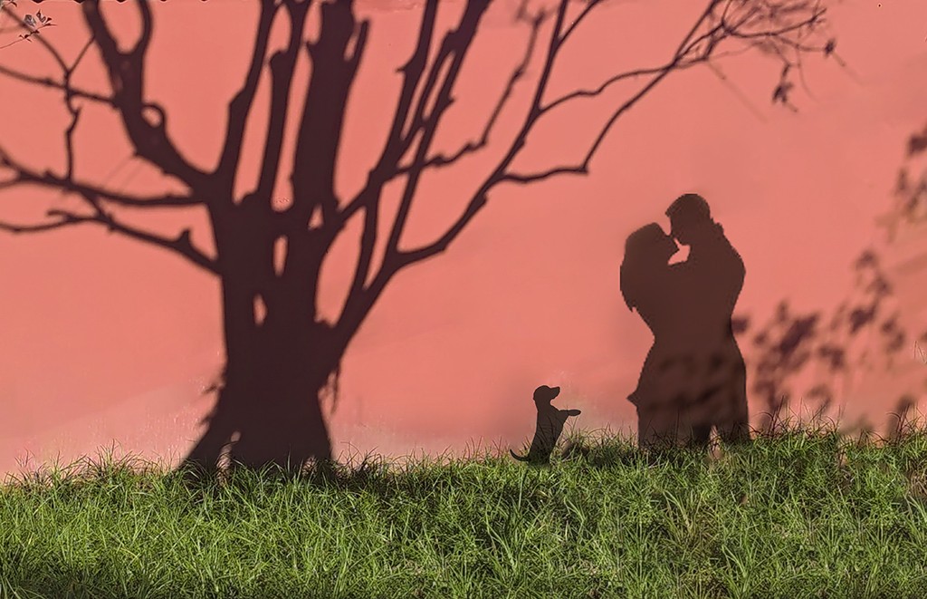 【原创】映在墙上的爱意