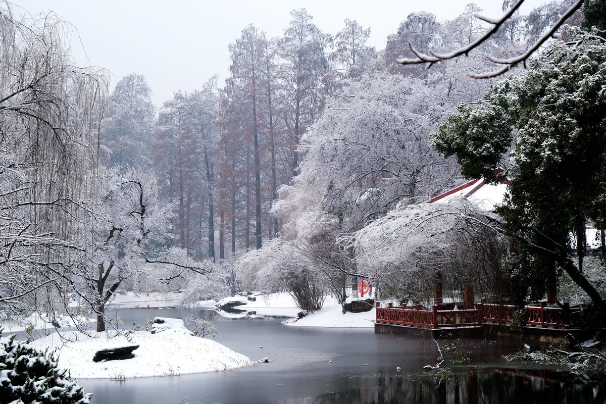 公园里一场雪，一场景。祝版主们及朋友们龙年大吉，作品多多。