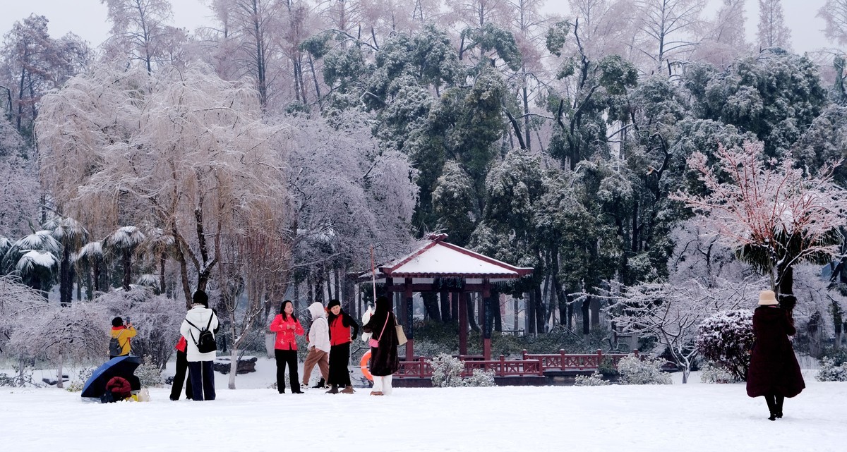 公园里一场雪，一场景。祝版主们及朋友们龙年大吉，作品多多。