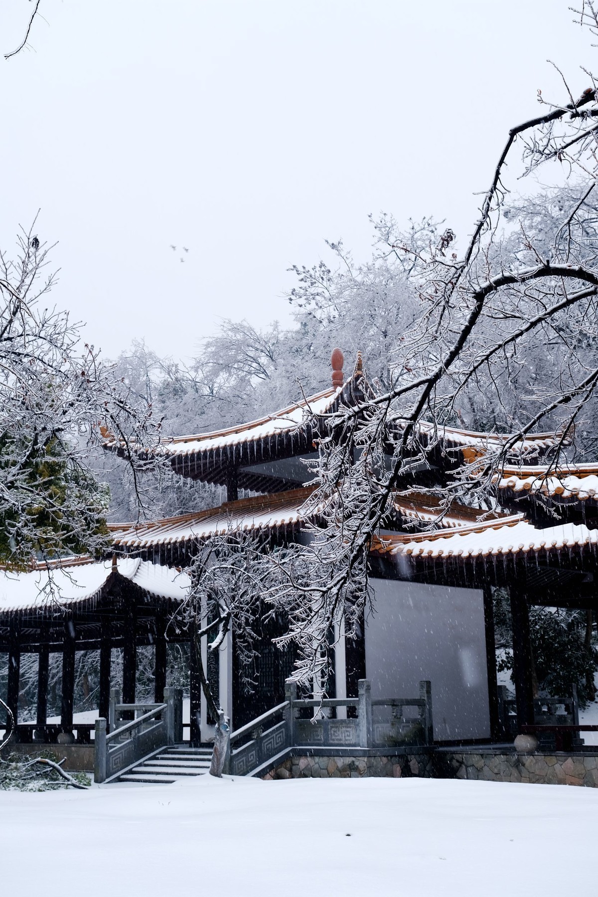 公园里一场雪，一场景。祝版主们及朋友们龙年大吉，作品多多。
