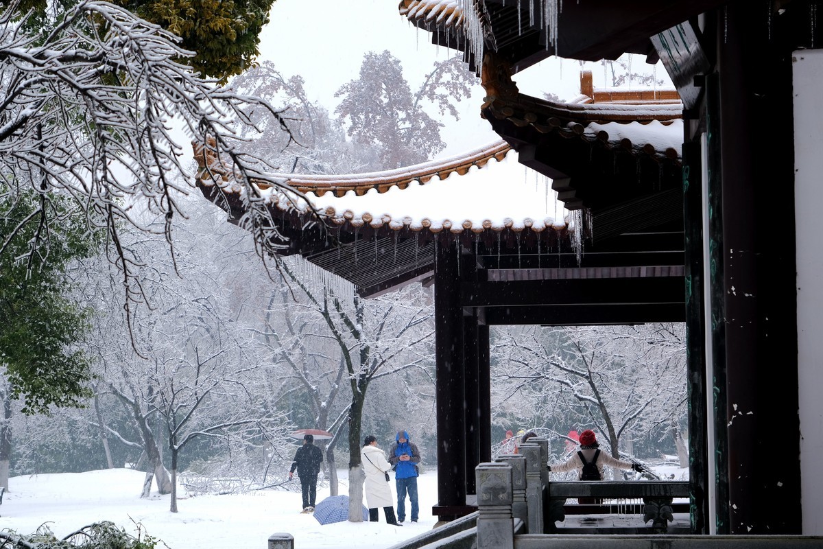 公园里一场雪，一场景。祝版主们及朋友们龙年大吉，作品多多。