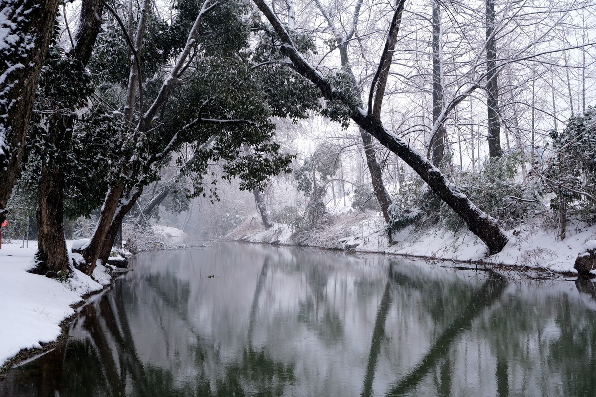 公园里一场雪，一场景。祝版主们及朋友们龙年大吉，作品多多。