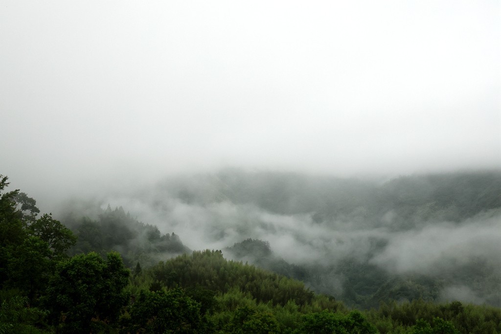 雨雾中的随拍-中关村在线摄影论坛