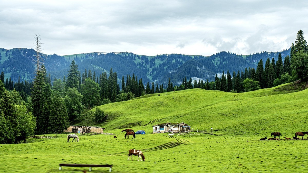 那拉提河谷草原【15】续完