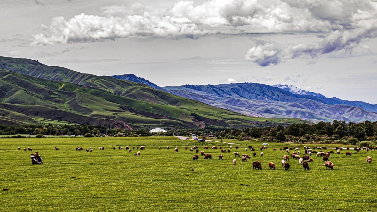 那拉提河谷草原【15】续完