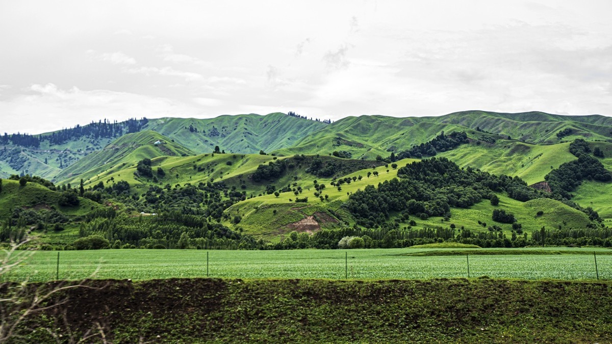 那拉提河谷草原【15】续完