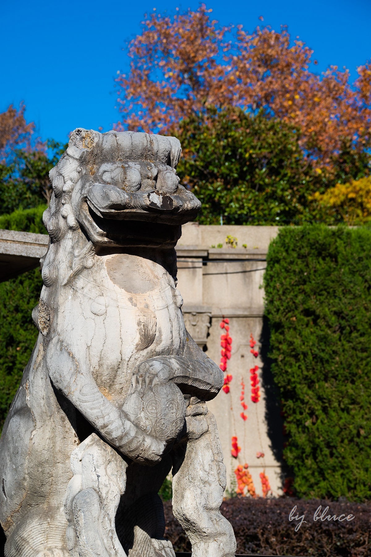 再游总统府【上】