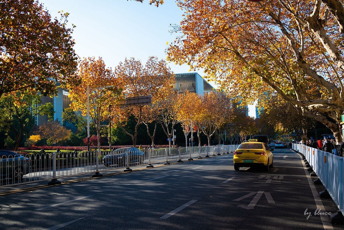 再游总统府【上】