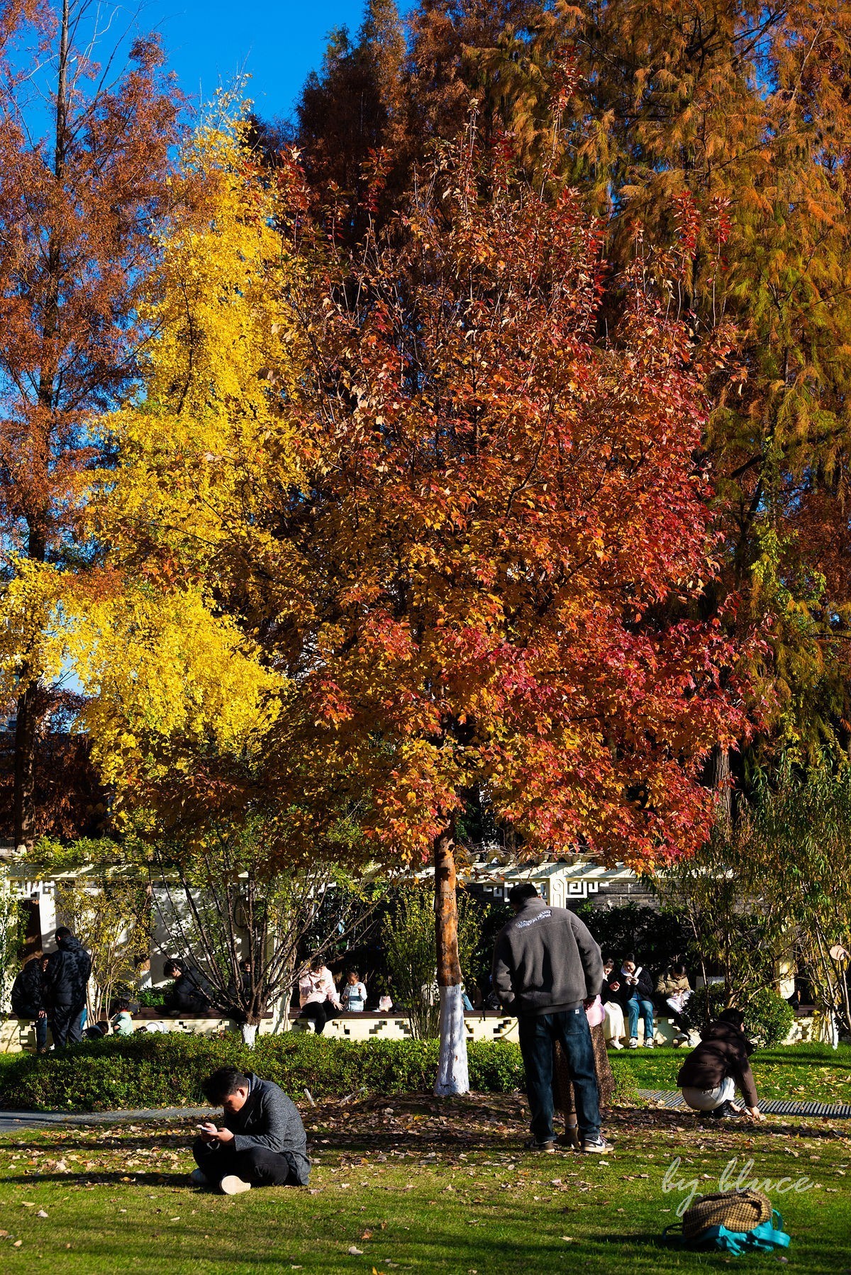 再游总统府【上】