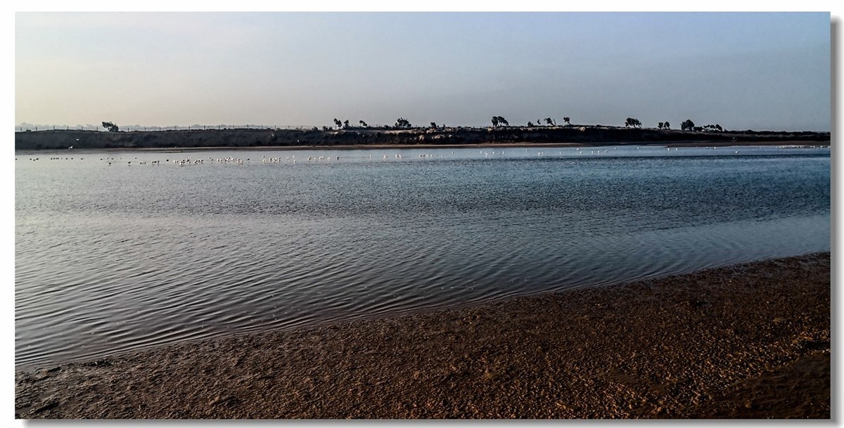 “入海口”（摩洛哥阿加迪尔）