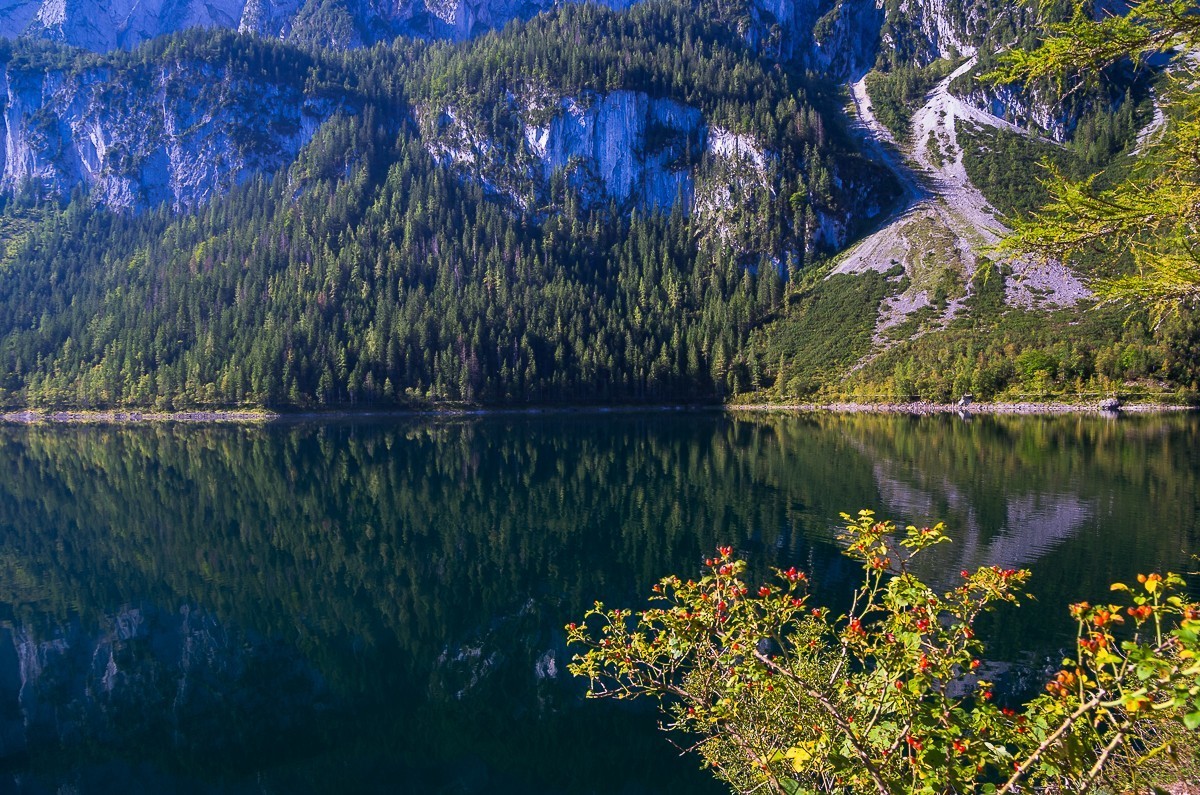 奥地利戈绍湖晨光