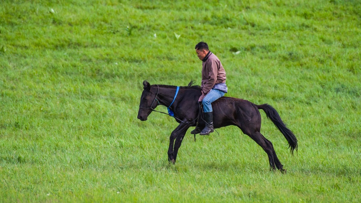 21.6 夏日的草原（十九）------硬汉骑生马