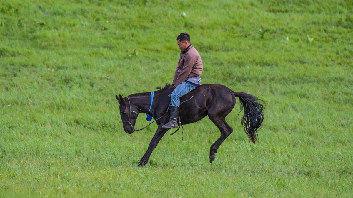 21.6 夏日的草原（十九）------硬汉骑生马