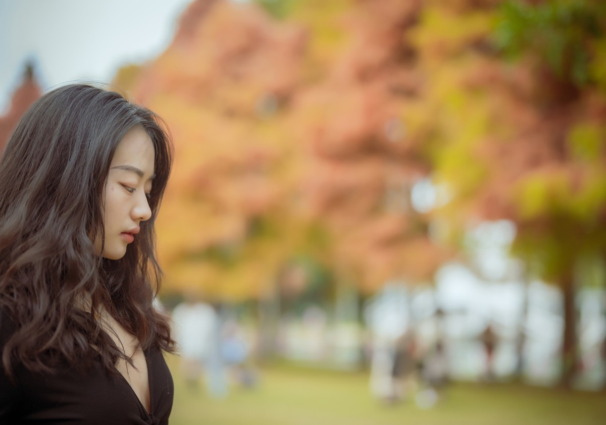 厦门南湖公园落羽杉红了