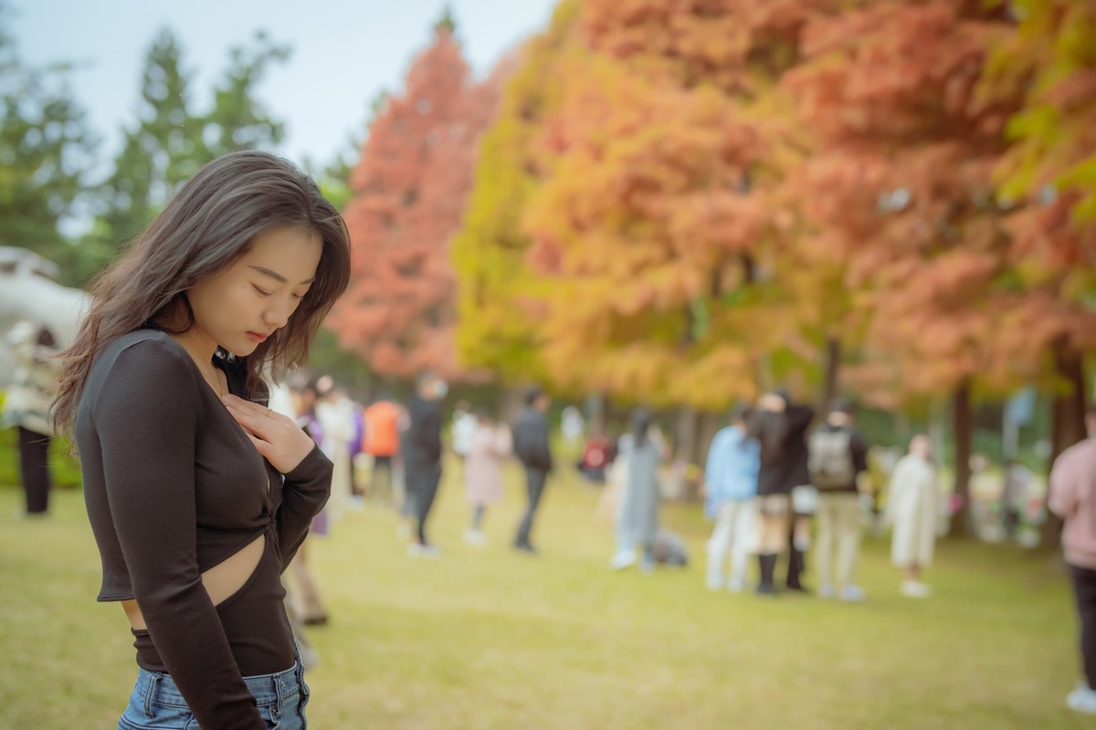 厦门南湖公园落羽杉红了