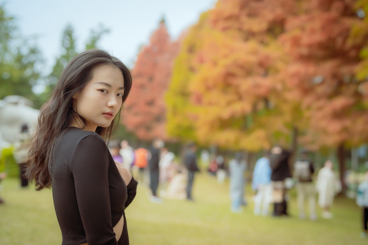 厦门南湖公园落羽杉红了