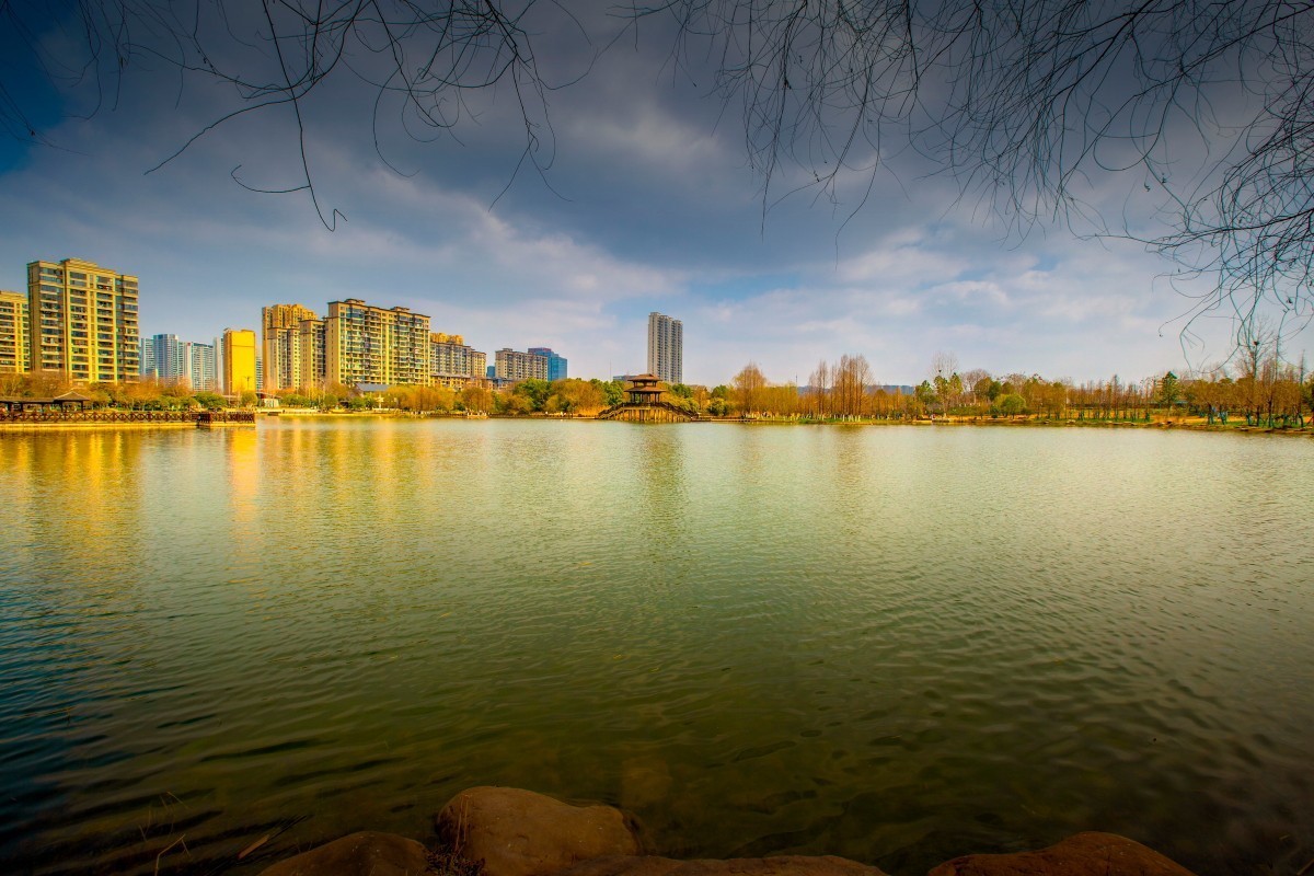 洋湖湿地风景