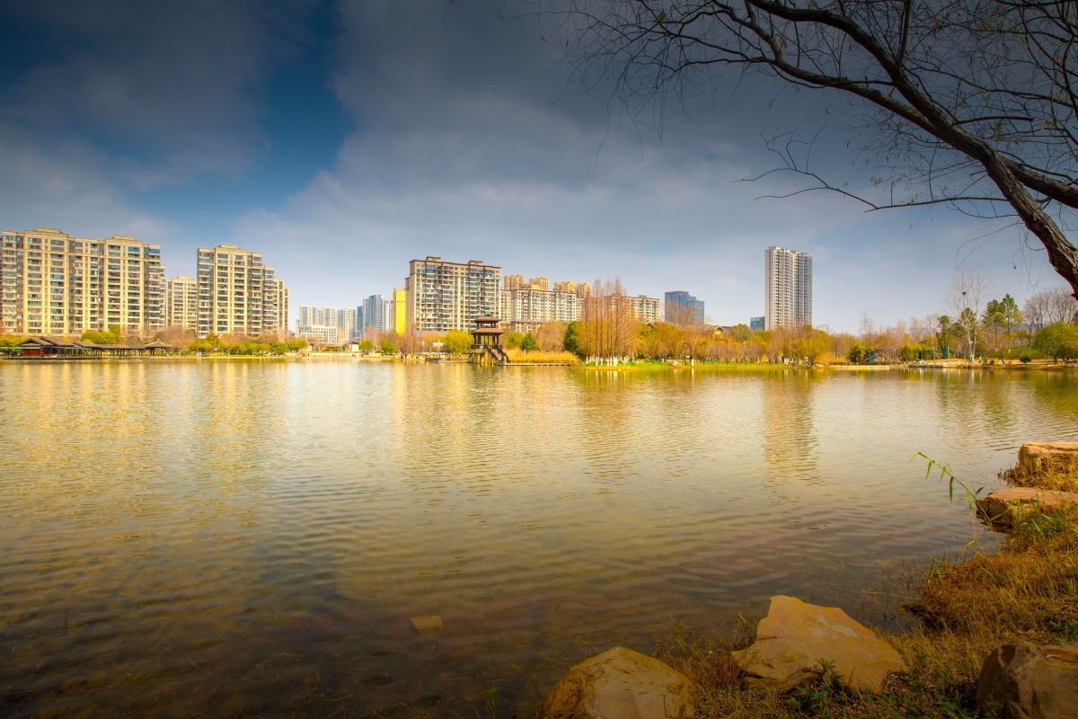 洋湖湿地风景