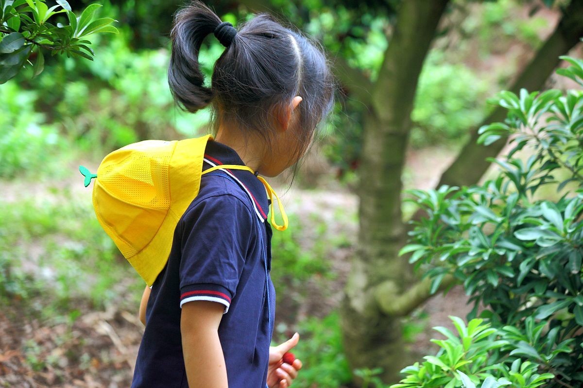 去果园摘杨梅（二）