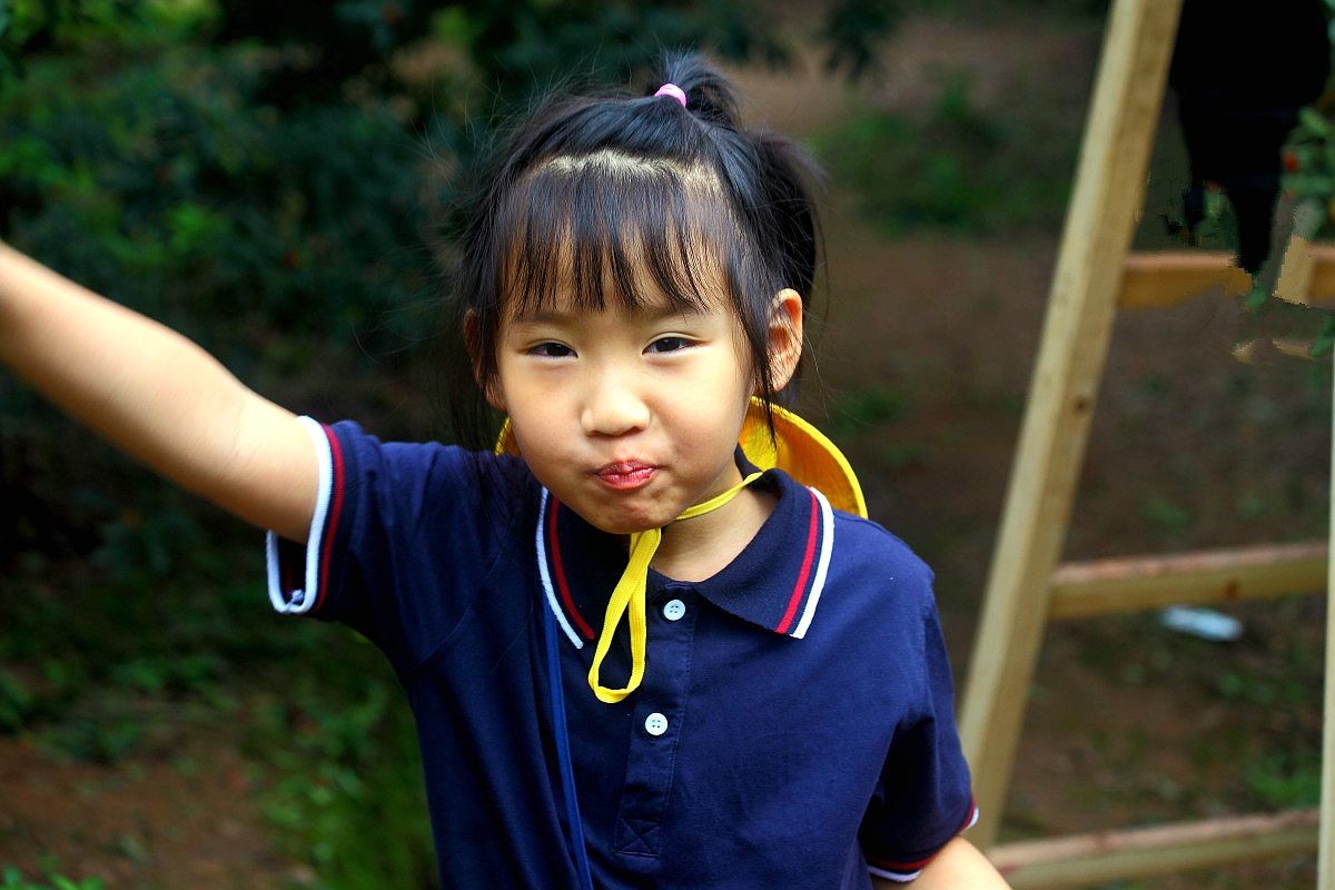 去果园摘杨梅（二）