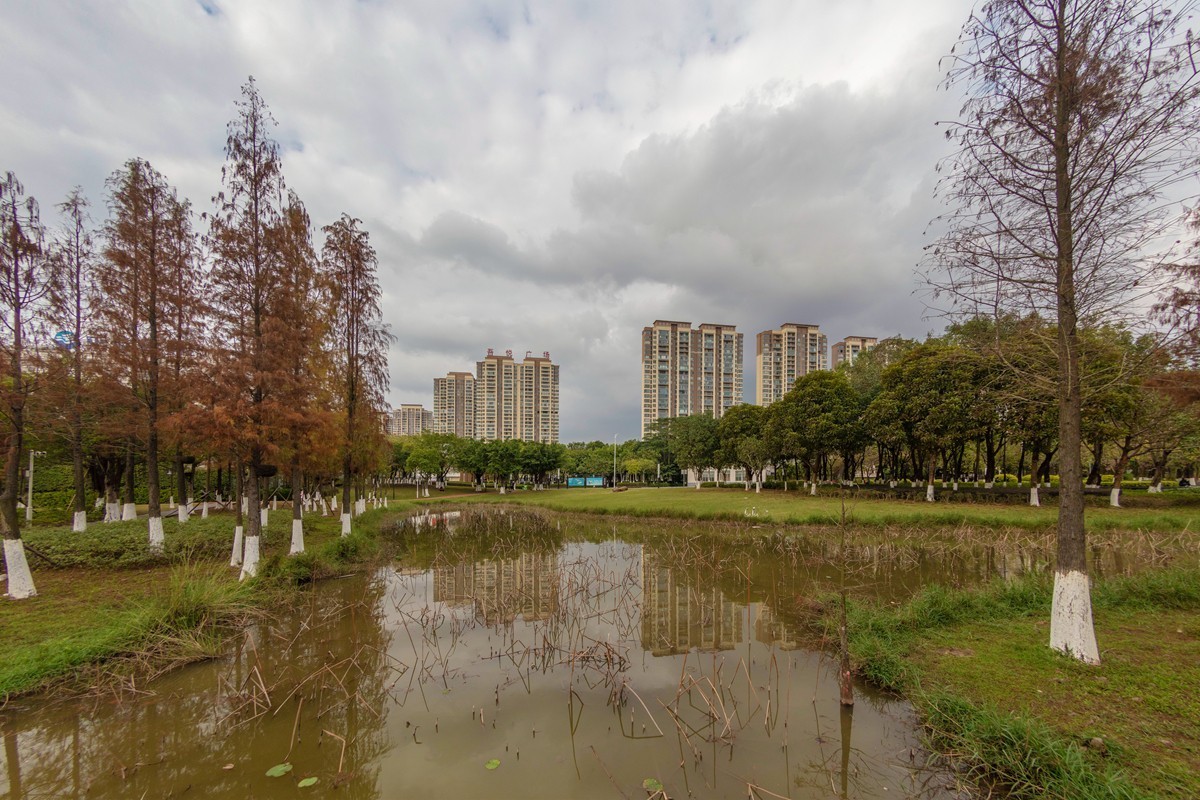 鱼眼镜头随拍及畸变调整