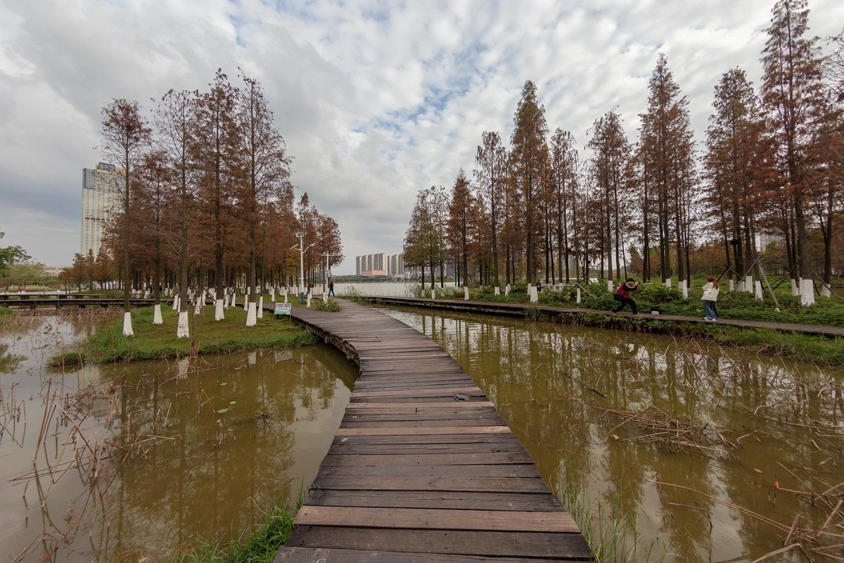 鱼眼镜头随拍及畸变调整