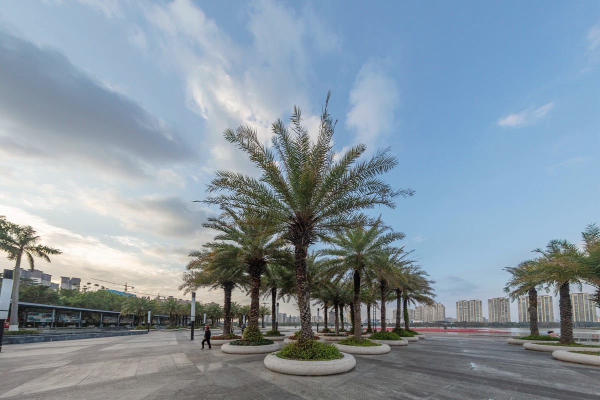 鱼眼镜头随拍及调整