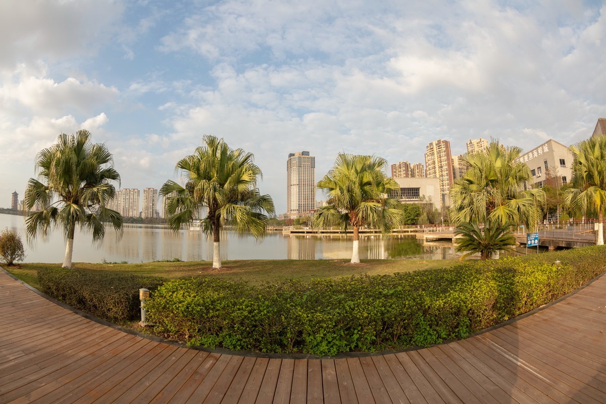 鱼眼镜头随拍及调整