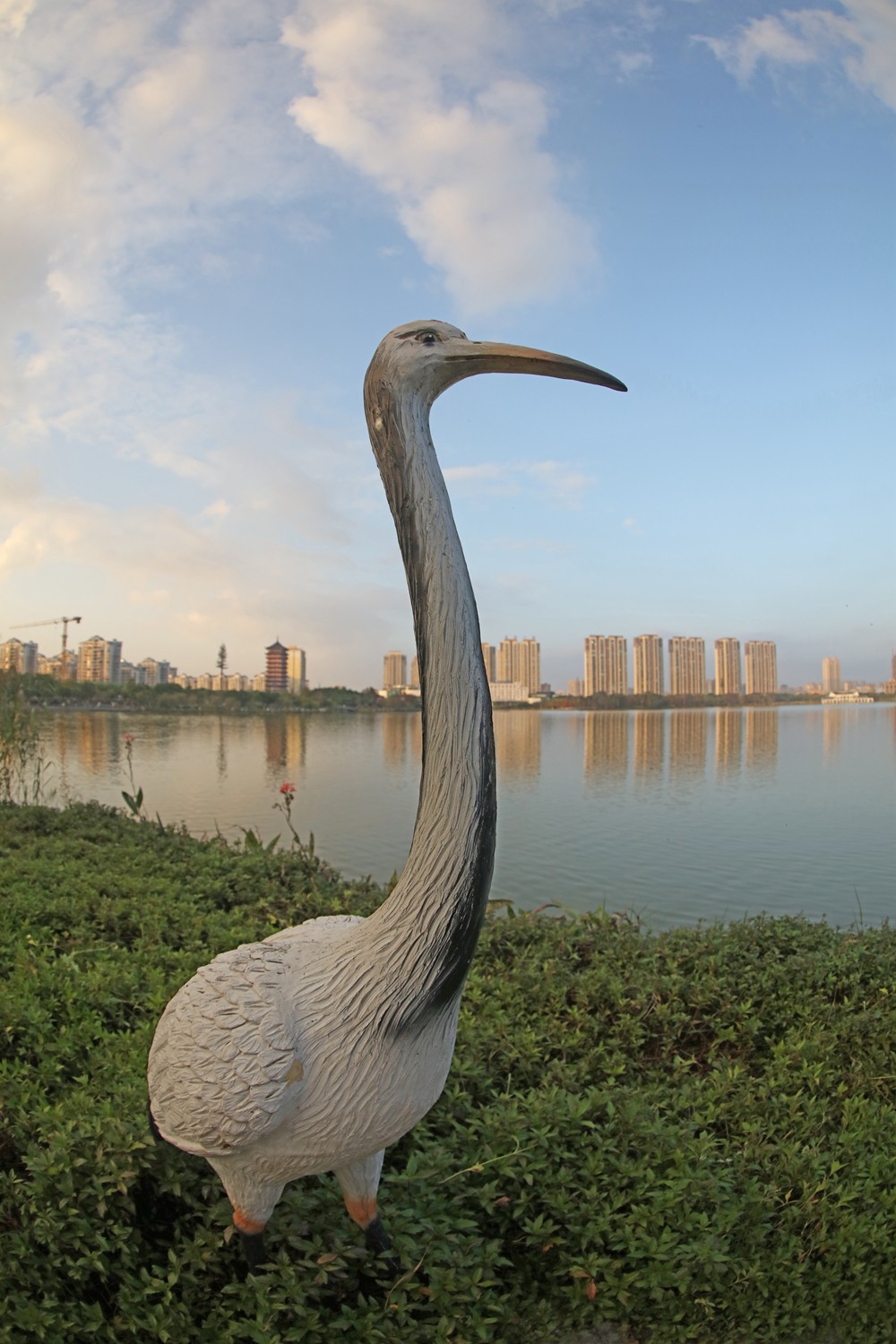 鱼眼镜头随拍及调整