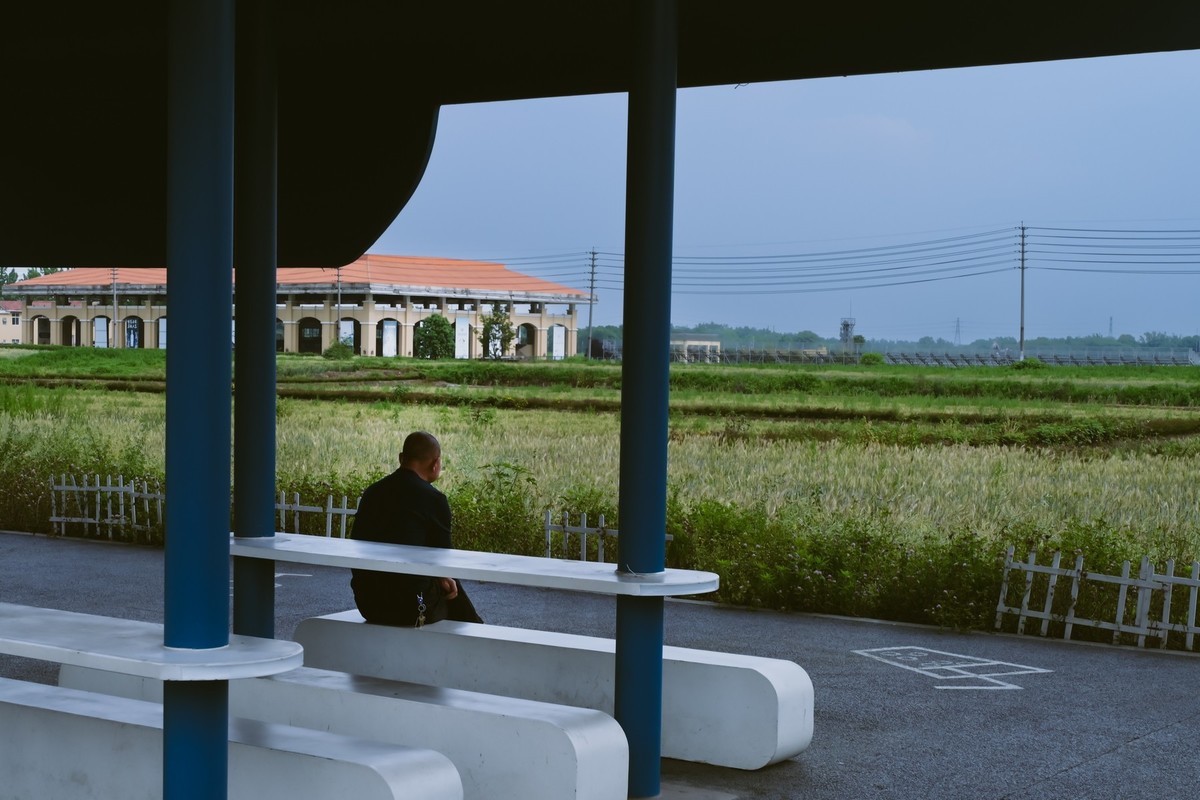 闲来无事拍几张