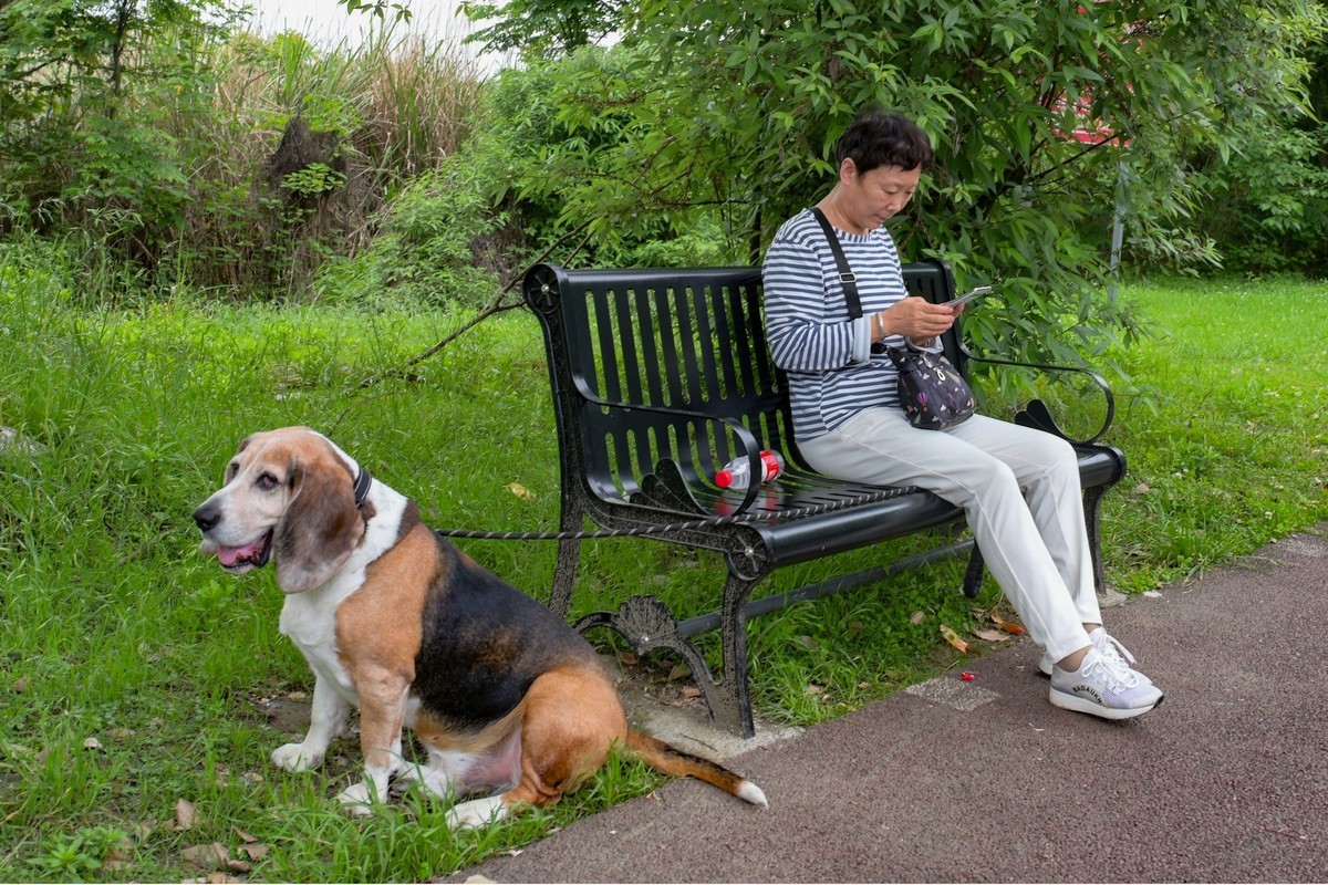 闲来无事拍几张