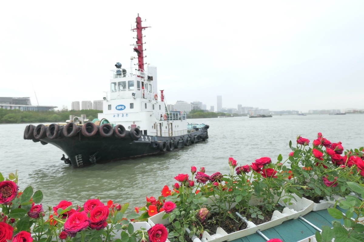 【上海国际花展(2)】——摄于徐汇滨江大道