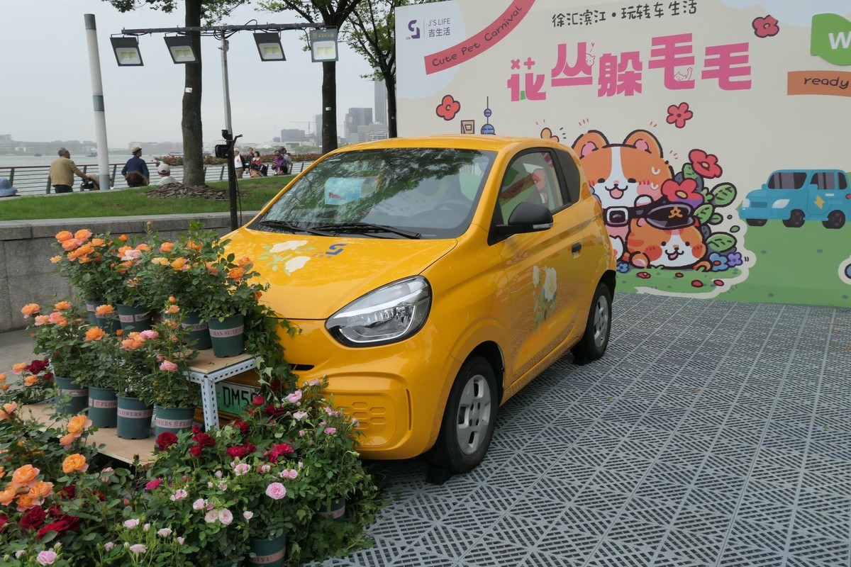 【上海国际花展(2)】——摄于徐汇滨江大道