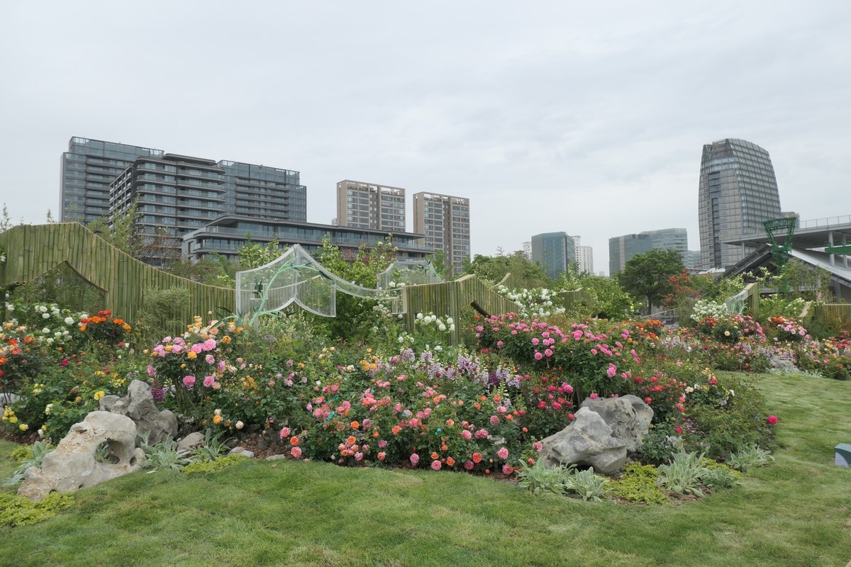 【上海国际花展(2)】——摄于徐汇滨江大道