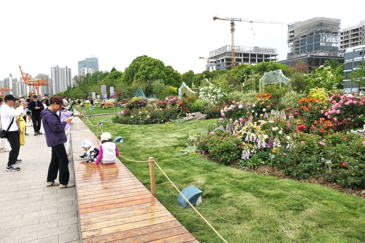 【上海国际花展(2)】——摄于徐汇滨江大道