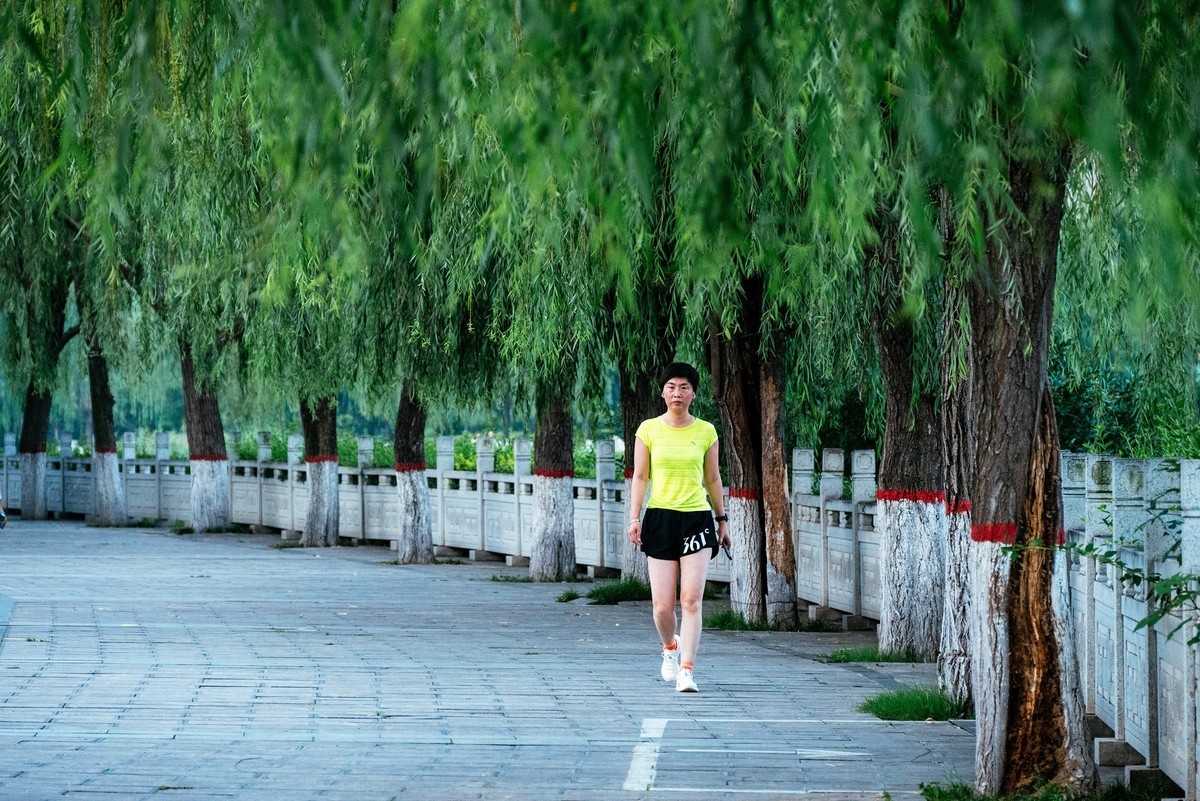 陕西渭南早霞万丈等欣欣向荣