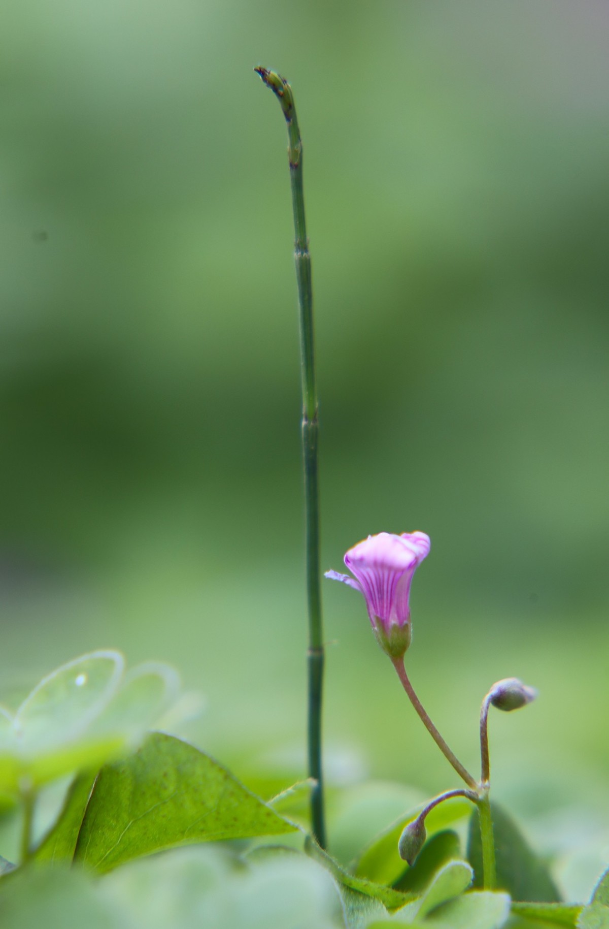 小区随拍小区小景