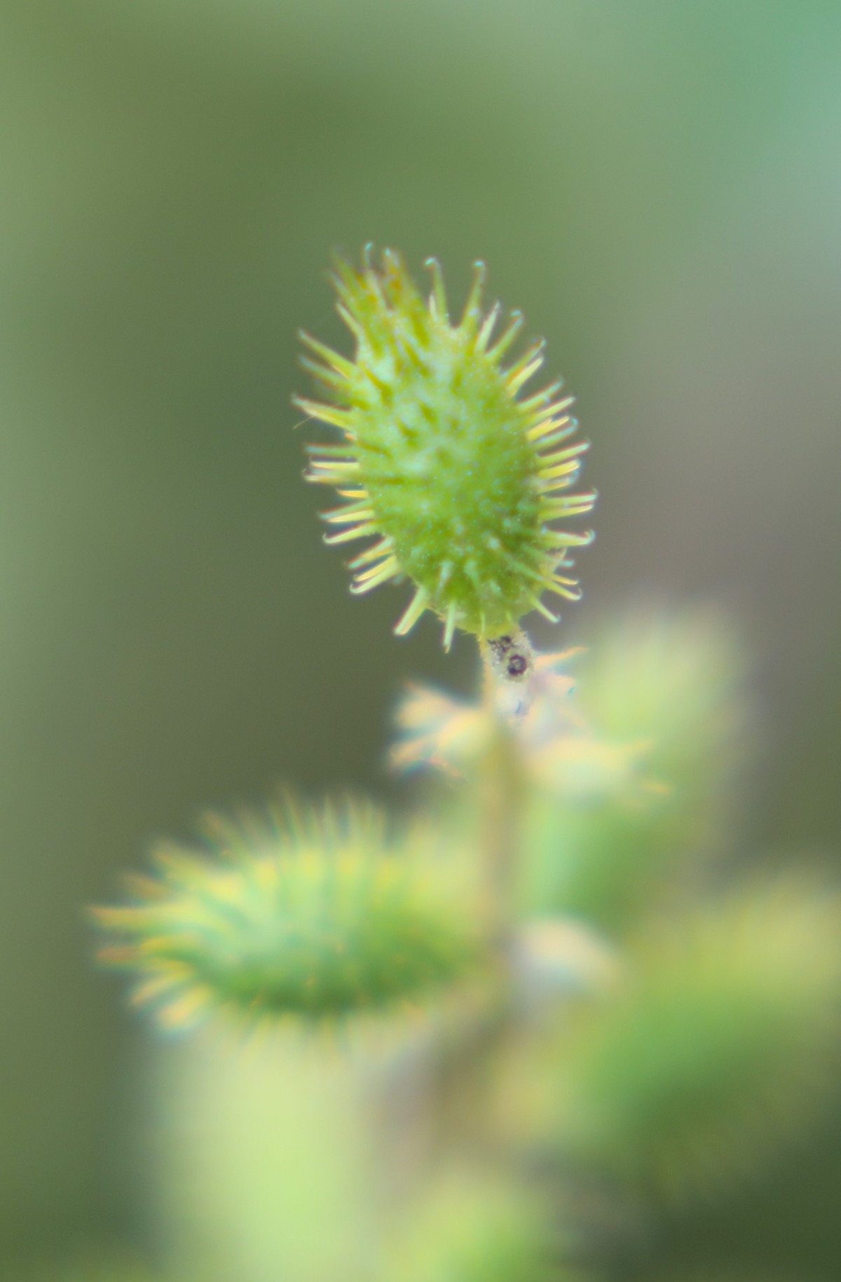 小区随拍小区小景