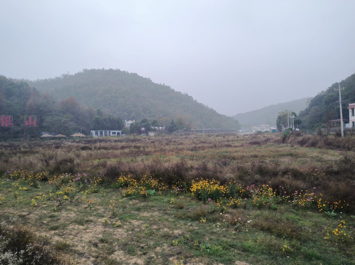 漫步星城 走街串巷（546）学士红桥