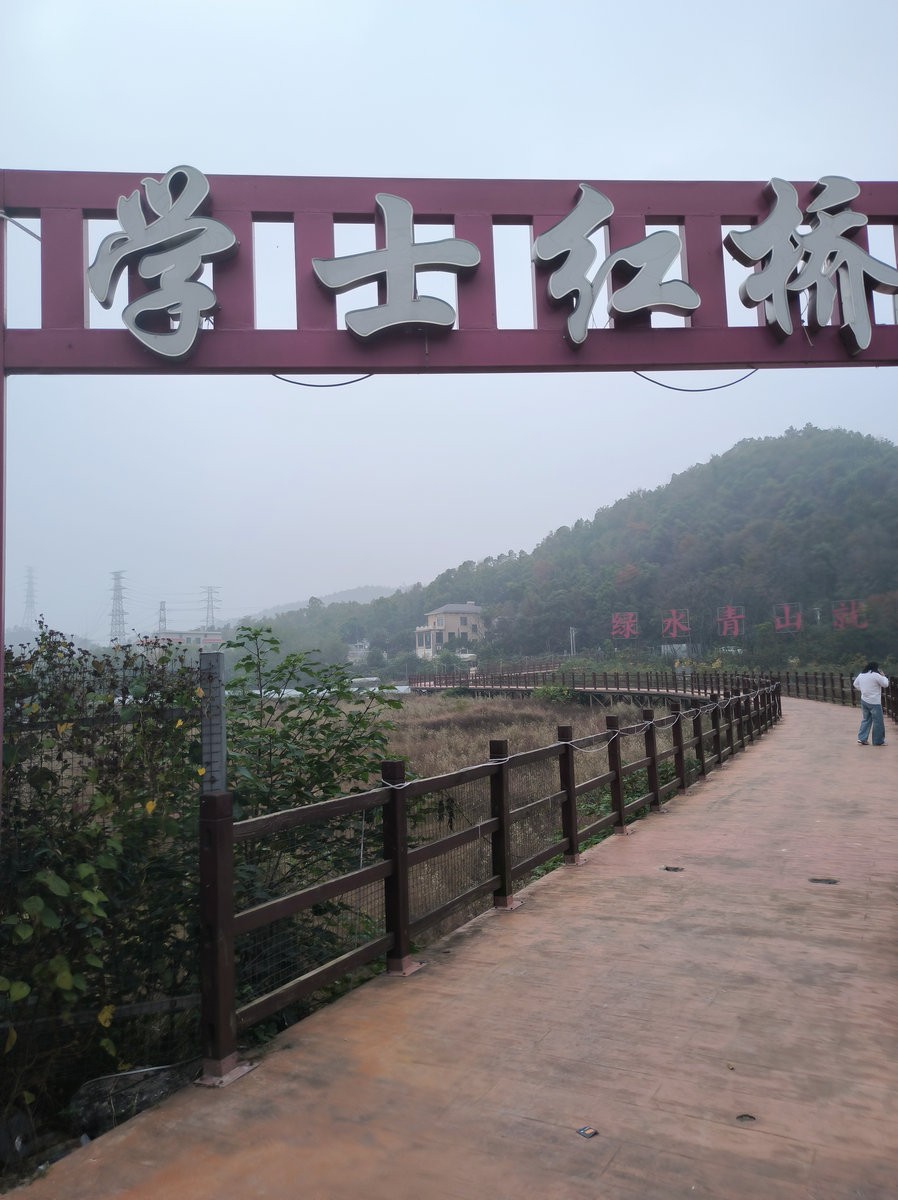 漫步星城 走街串巷（546）学士红桥