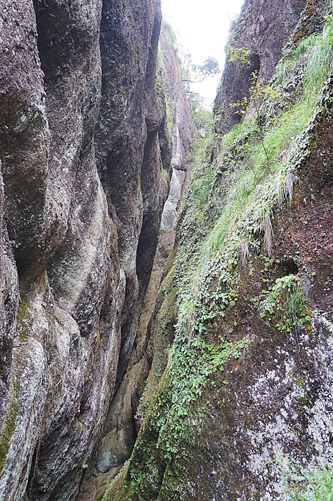 龙虎山景区  象鼻山（一）