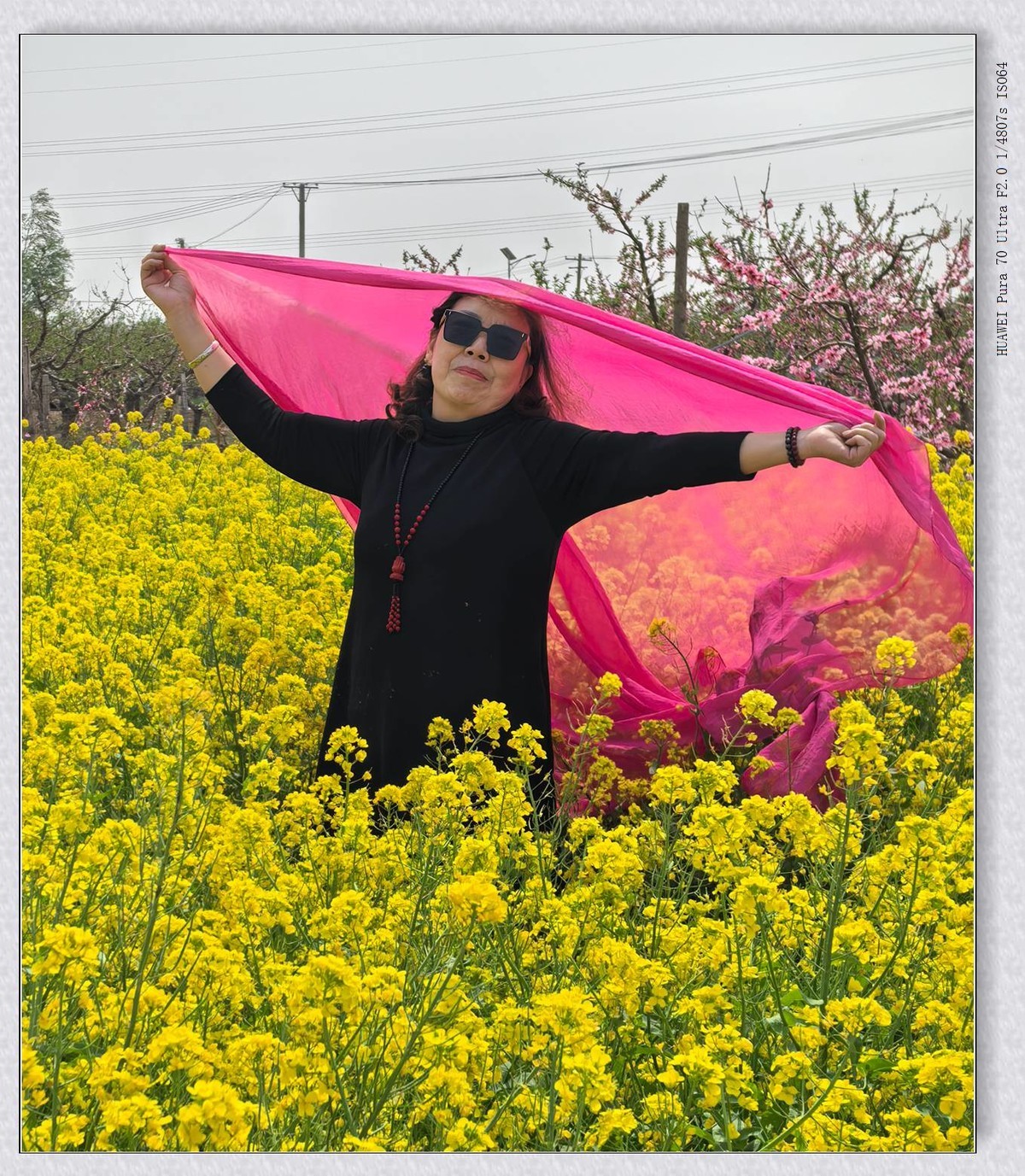 一群老太太游春【乙巳年-140】