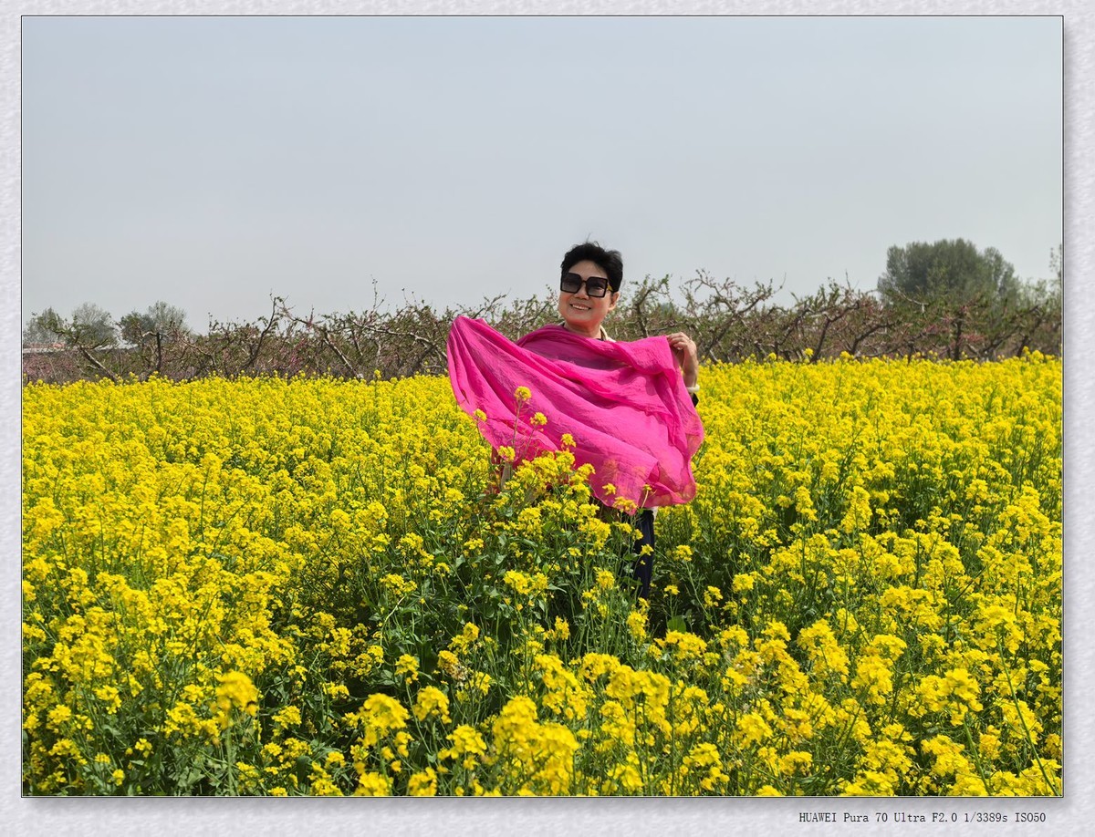 一群老太太游春【乙巳年-140】